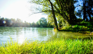 Pace Analytical PFAS Non Potable Water