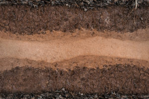 Pace Analytical PFAS Soil and other Solids button image