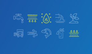 Pace True TOF PFAS test method.