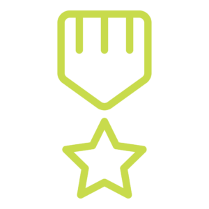 Medal icon - green line icon