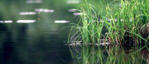 Pace Analytical PFAS Ground and Surface Water Hero Image