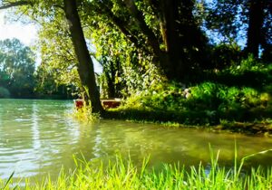 Sate Action on PFAS in Ground and Surface Water