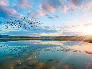 PFAS and Tribal Lands