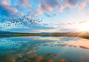 Industries & Entities: PFAS in Tribal Lands